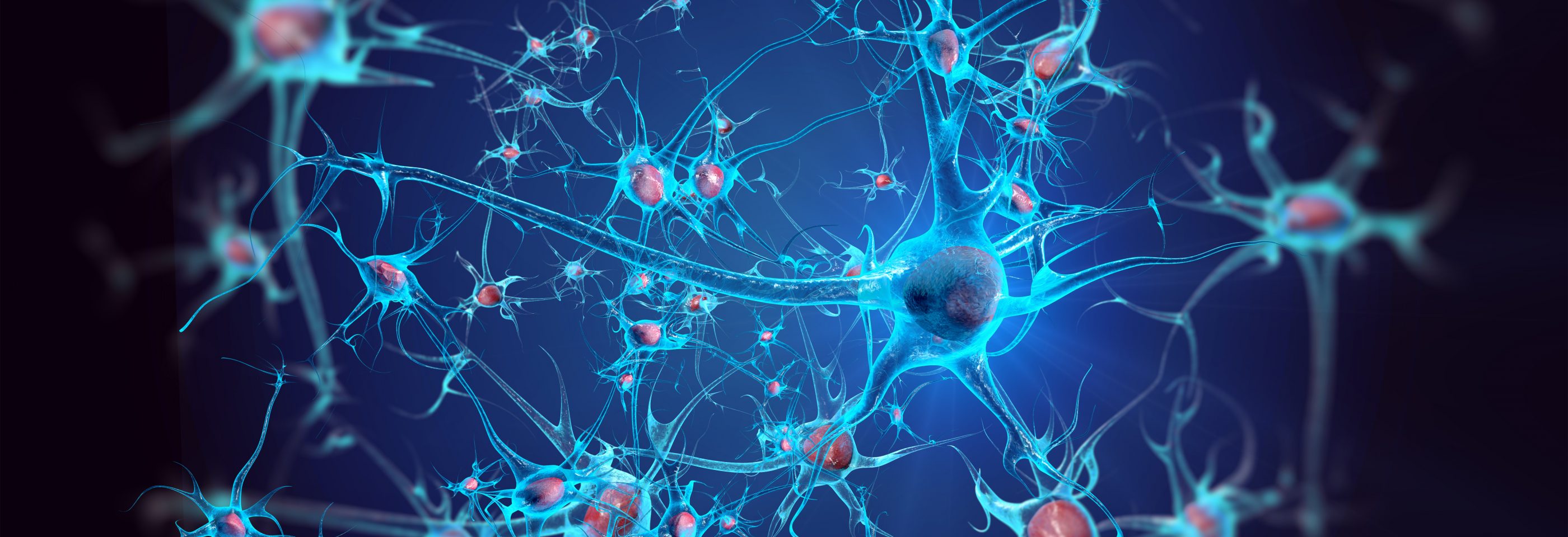 Study Suggests Brain Inflammation Is >> Epileptic Seizures In Animals Trigger Immune Response In Retina Study Suggests Brain Inflammation Is >> Epileptic Seizures In Animals Trigger Immune Response In Retina