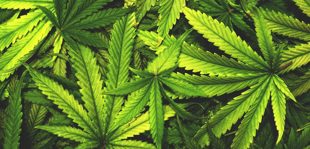 GW’s Cannabinoid Therapy Epidiolex Shows Promise in Treating Children with Lennox-Gastaut Syndrome